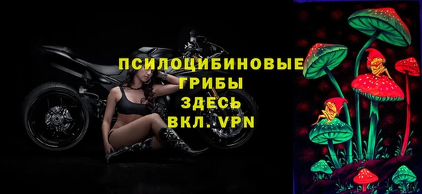 гашиш Богородицк