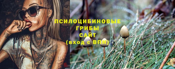 скорость Белокуриха