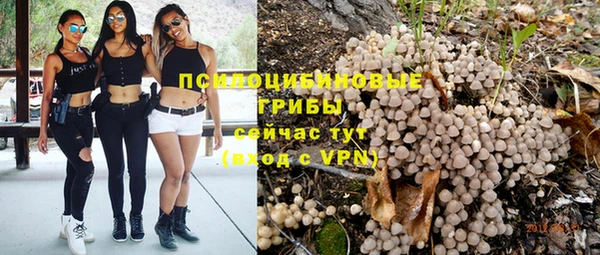 mdma Богданович