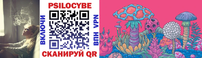Галлюциногенные грибы Psilocybine cubensis  Купить закладки  Каменногорск 